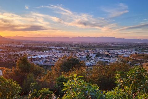 Rækkehus i Rojales, Alicante, Rojales - € 150.000 | Ref: 6154 - foto 34